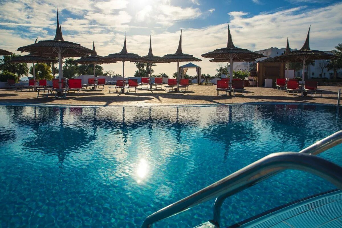 Domina harem 5 шарм эль шейх