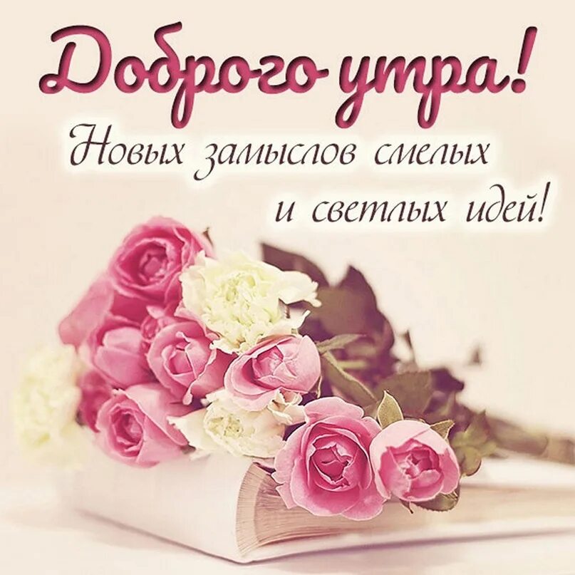 утренние комплименты девушке. утренние комплименты девушке. утренние комплименты девушке. утренние комплименты девушке. пожелания с добрым утром любимой.