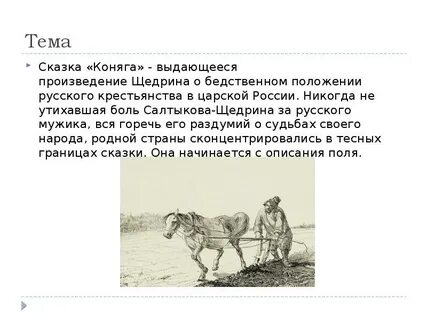 Щедрин дурак краткое