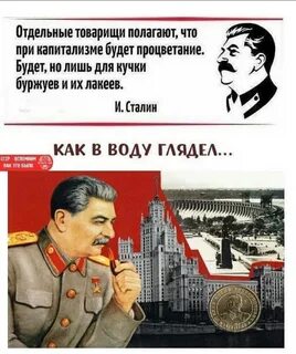 Stalina инстаграм 