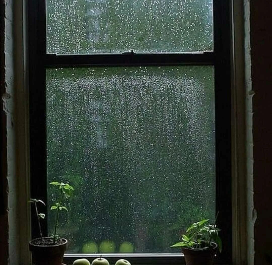 Окно в дождевых каплях. Дождь в окне. Капли на окне. Дождь за окном. Окно после дождя.