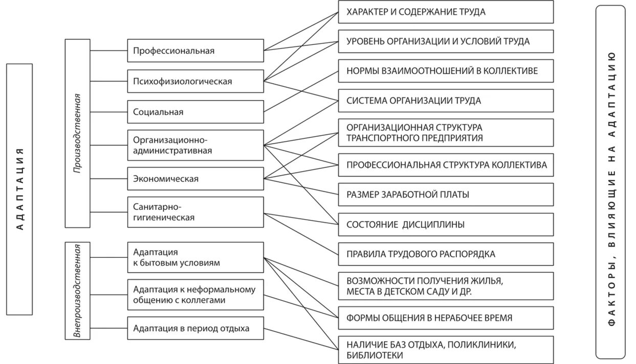 Адаптация организации виды. Классификация видов адаптации персонала. Процесс профессиональной адаптации персонала в организации. Виды адаптации персонала в организации таблица. Виды адаптации схема.