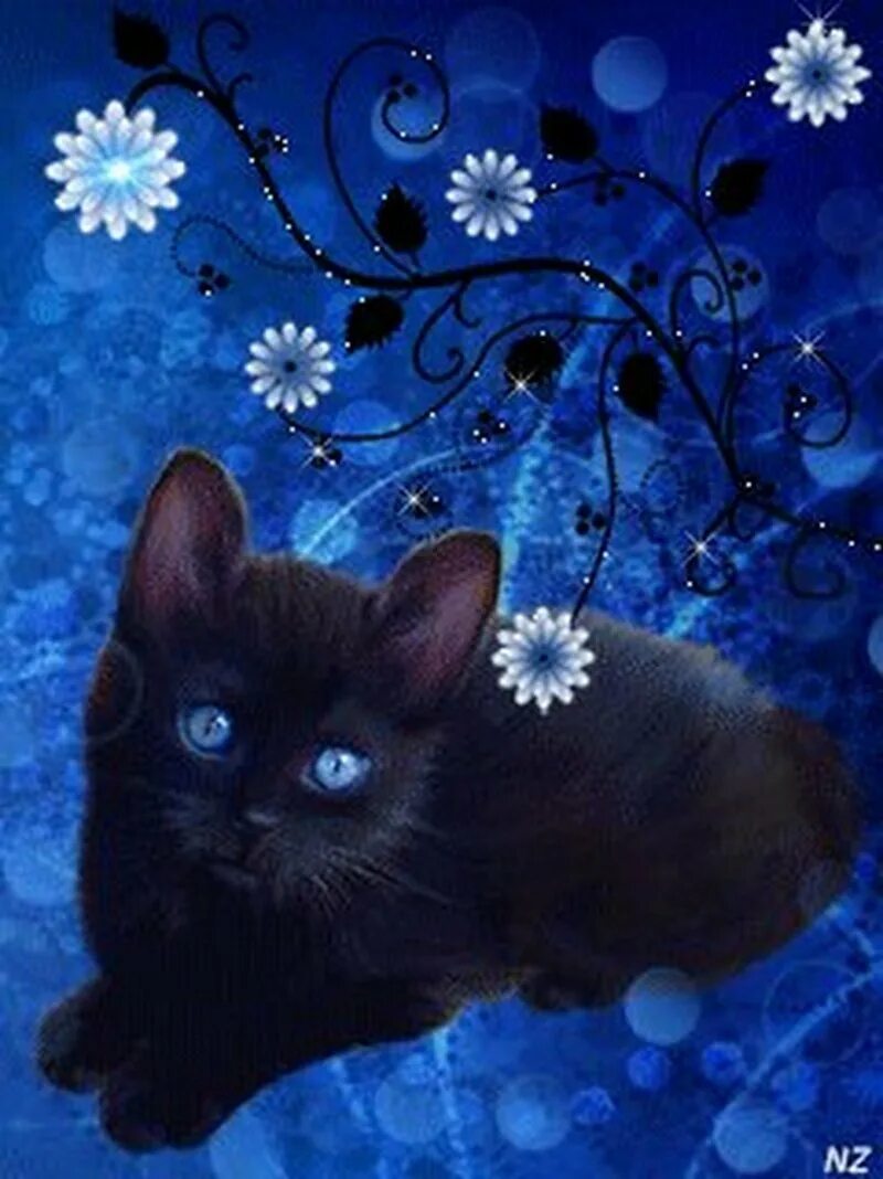 Анимашка кот. Красивые котята. живые кошки. котик на синем фоне. анимационные кошки.