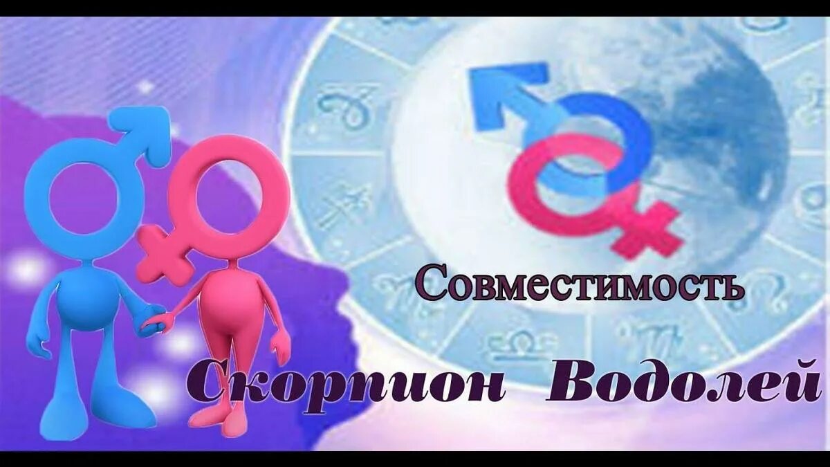 Водолей и скорпион совместимость. Лев и Водолей совместимость. Скорпион и Водолей совместимость. Весы и Скорпион совместимость. Весы и Водолей совместимость.