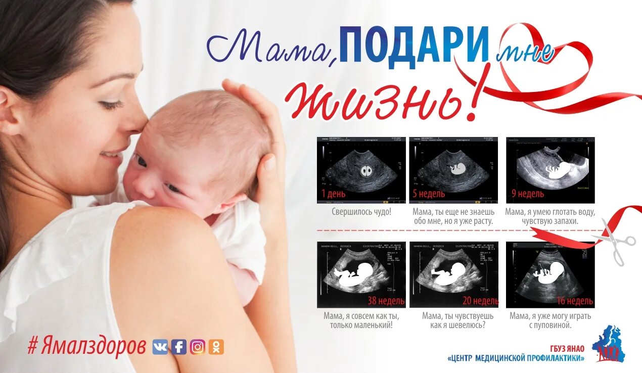 намёк на цветы картинки. подари мне жизнь. цветы для детей. подари маме зубы. намек на цветы мужчине.