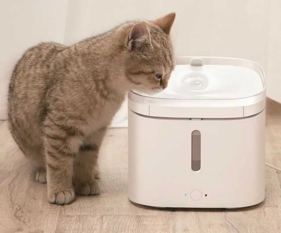 Xiaomi pet fountain