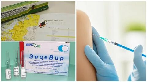 Прививка от клещей для людей