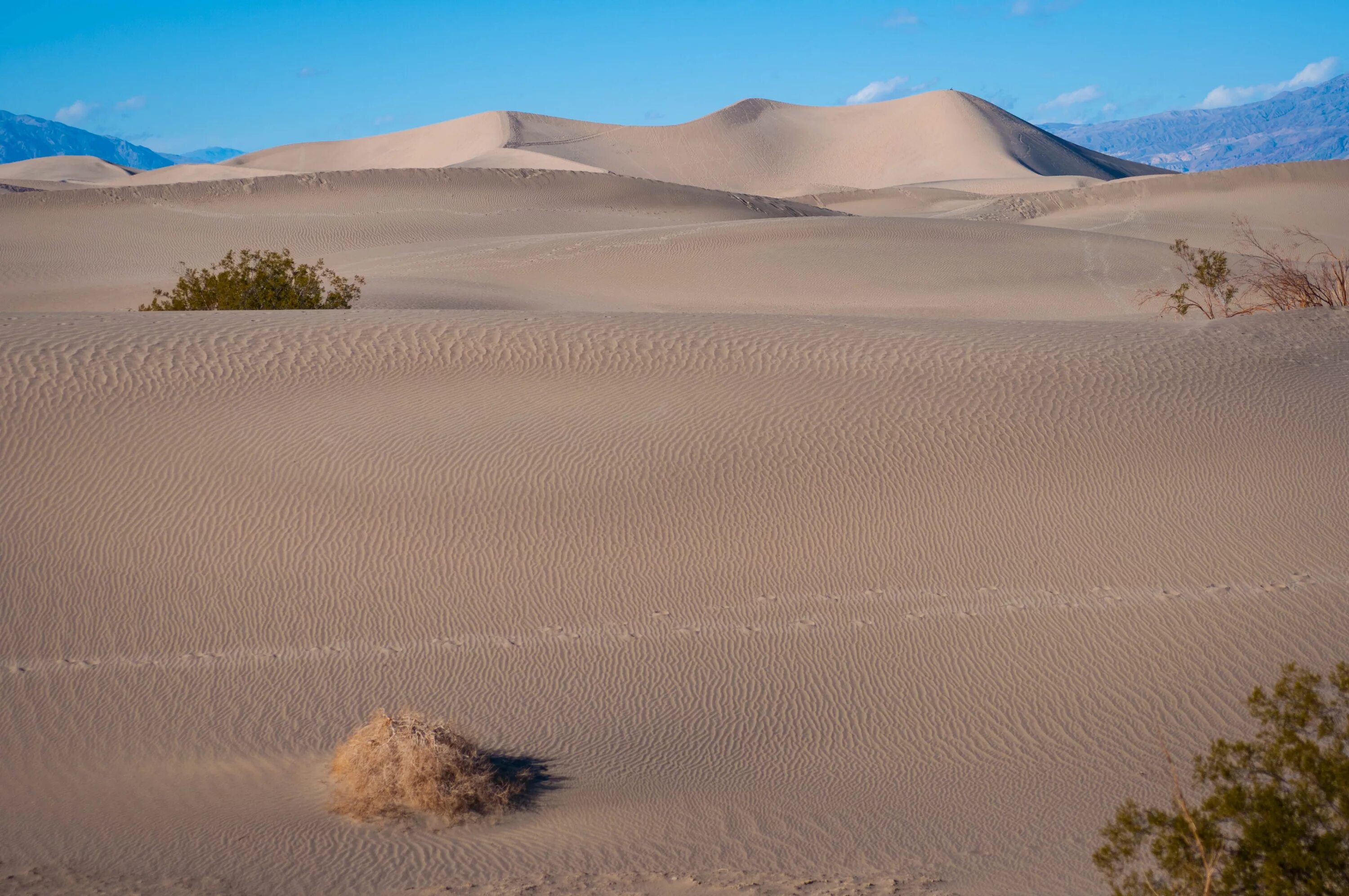 Приокеаническая пустыня. Барханы и дюны. Дюны Мескит. Тункинская Долина песчаные Барханы. Дюны в долине смерти.