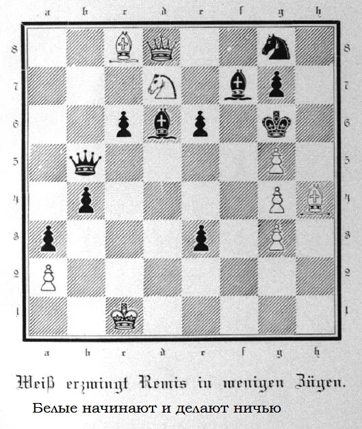 Шахматный турнир в библиотеке отчет. Чесс ланд. Чесс лэнд ком. Чесс ланд. Чесс ланд.