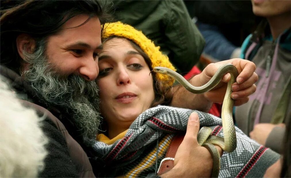 Какой праздник змей. Змеиный фестиваль в Италии. Праздник змей. Змеиный праздник. Змеиный праздник день.
