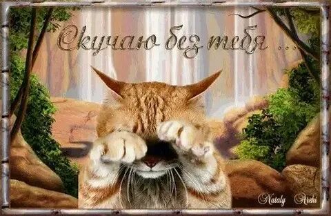 Гифки я соскучилась