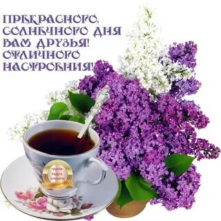 Доброго майского утра и хорошего дня картинки