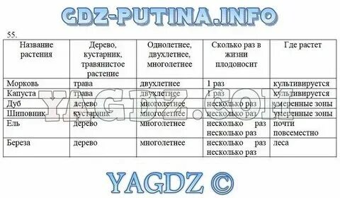 Заполните таблицу распределяя следующие примеры получение образования
