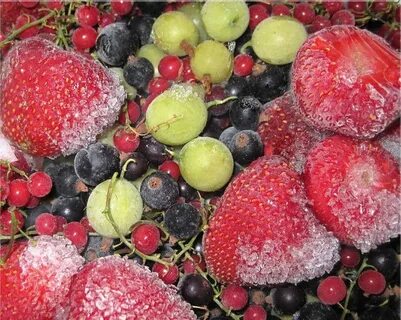 Freezing fruits