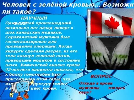 Голубые правда