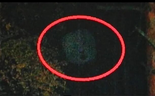 Фото фантома из майнкрафта. Собака призрак. Полтергейст призрак дух. Появляется фантом. Фантом марионетка фнаф.