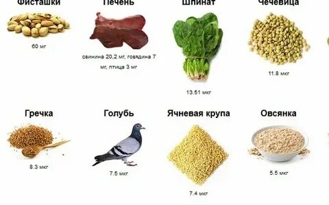Печень богатая железом