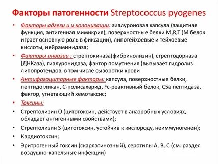 Стрептококк антиген