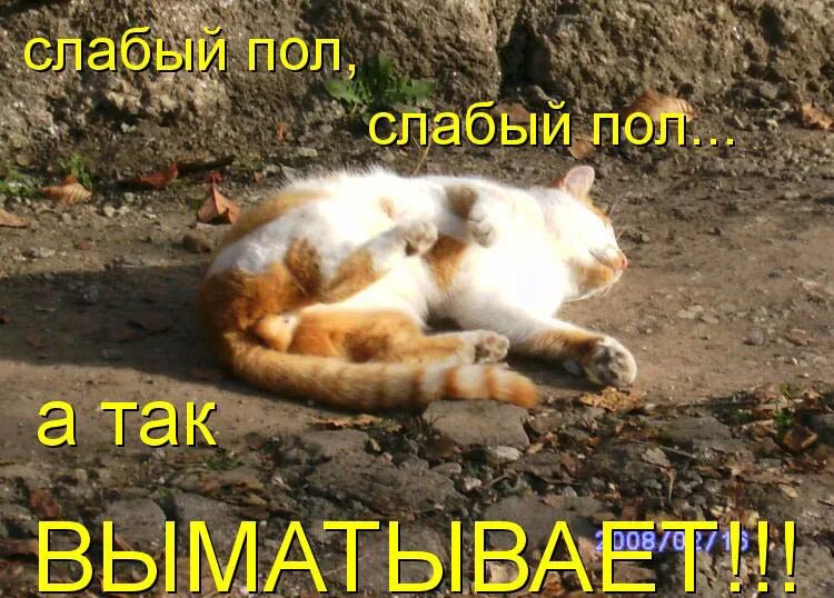 Женщины не слабый пол. Иронический женский детектив. Женское здоровье книга. Говорят женщины слабый пол. Слабый пол.