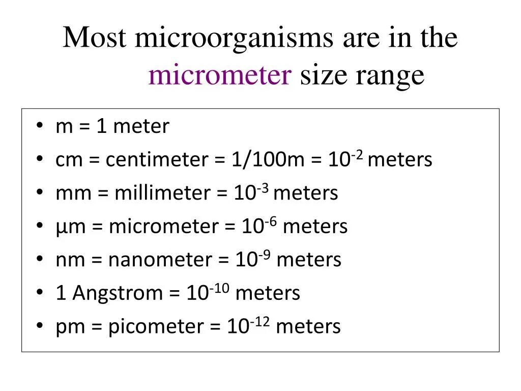 Сантиметр миллиметр микрон микрометр нанометр. Micrometer to meter. нанометр. how much centimeters in one meter. сантиметр миллиметр нанометр.