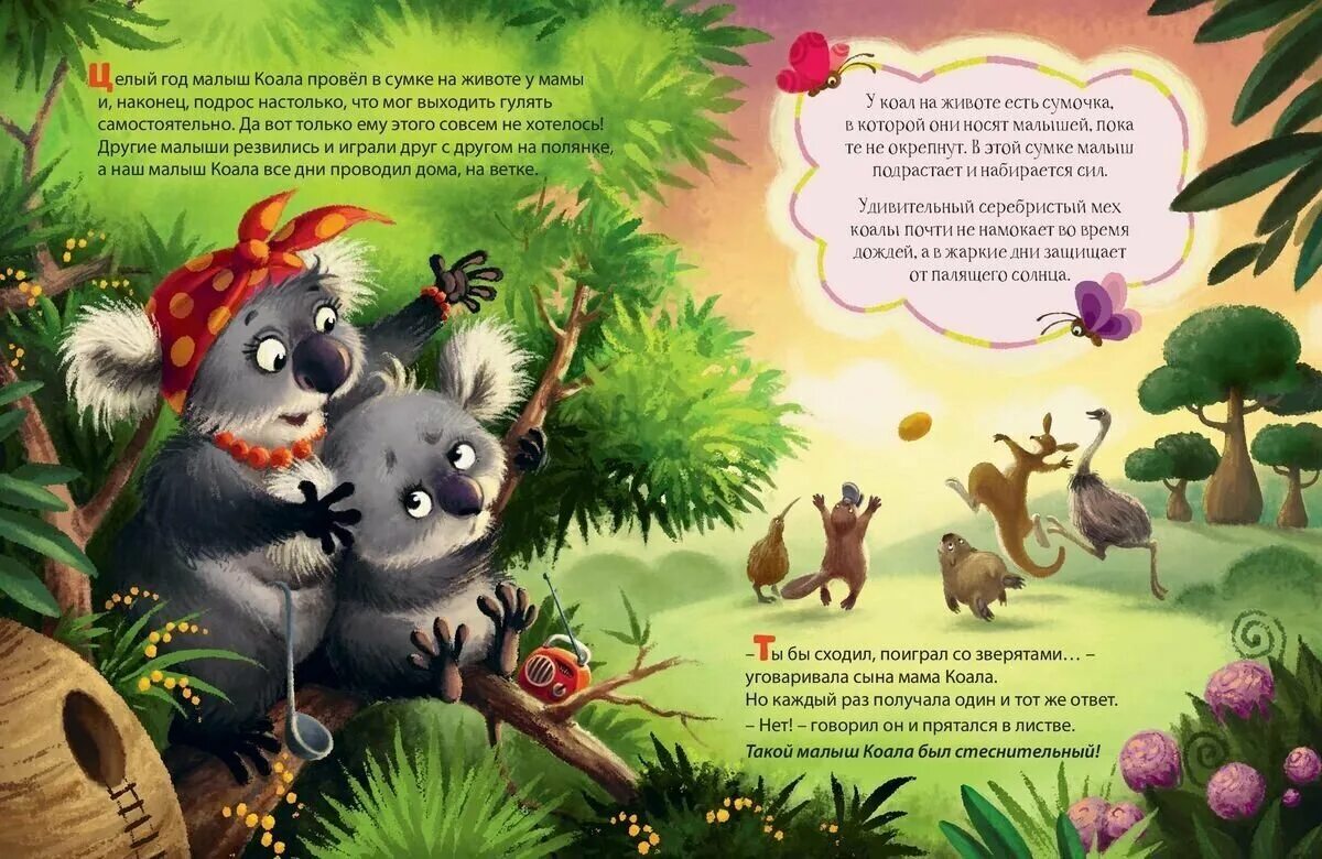 Книга коала. Коала с книгой. Стихи про экзотических животных. Малыш коала находит друзей. Коала книги для детей.