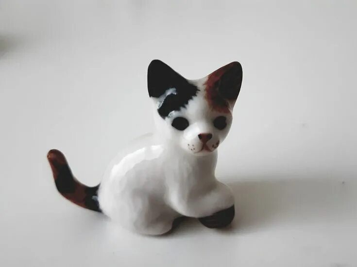 Микро кошки. Котики миниатюра. Микро кошки. Миниатюрные кошки. Микро кошка порода.