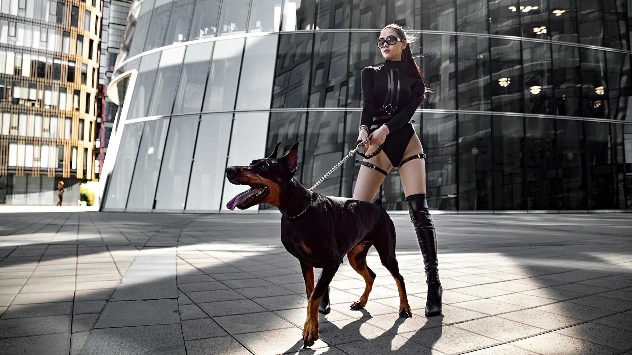 Doberman cora. Ирина Шейк с доберманом. Катрин Доберман модель. Дама с доберманом Синди Кроуфорд. Доберман Balenciaga.