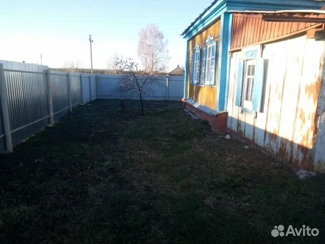 Село семено александровка бобровского района воронежской. Семено александровка бобровский район лес. Семено-александровка бобровского района. Село семено александровка бобровского района. С семено александровка воронежская область бобровский район.