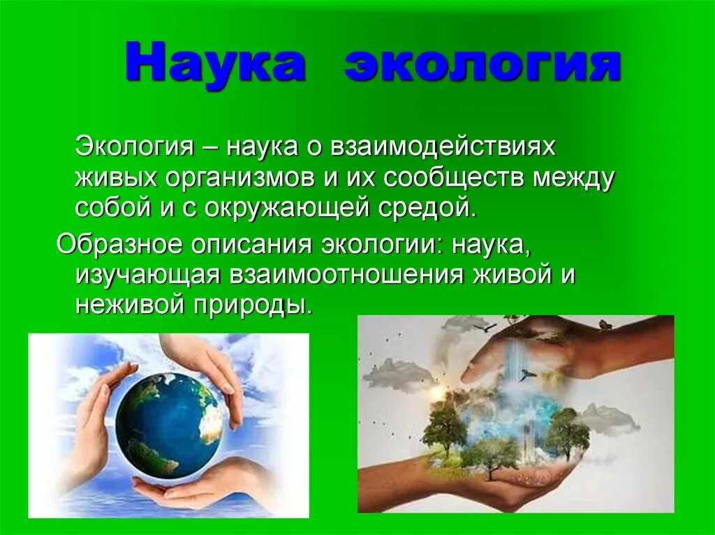 Наука экология помогает 3 класс. Экология это наука. Экология это наука о взаимоотношениях. Экология наука о взаимоотношениях живых организмов. Экология наука изучающая взаимоотношения.