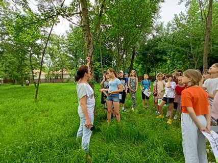 5 июня