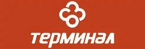 Компания терминал