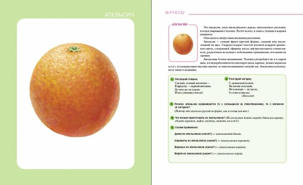 Апельсин содержание. Апельсин содержание. Рассказ про апельсин. Факты об апельсинах. Апельсин содержание.