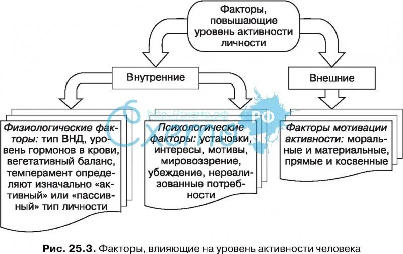 Внутренние источники активности человека. Уровни активности человека. Уровни правовой активности личности. Внутренняя активность личности. Уровни деятельности человека.