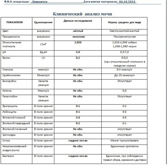 Моча при остром пиелонефрите