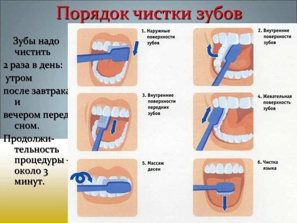 Натощак можно ли чистить зубы