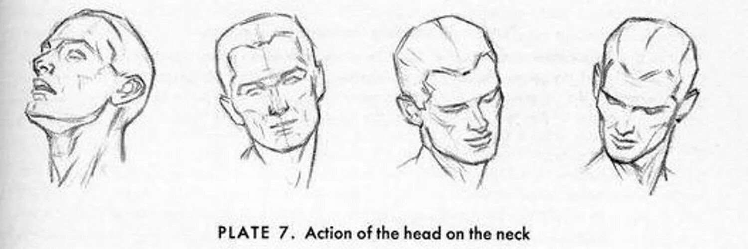 Наклоненный лоб. Зарисовки головы человека. Портрет в разных ракурсах. Мужчина с наклоненным лицом. Наброски головы.