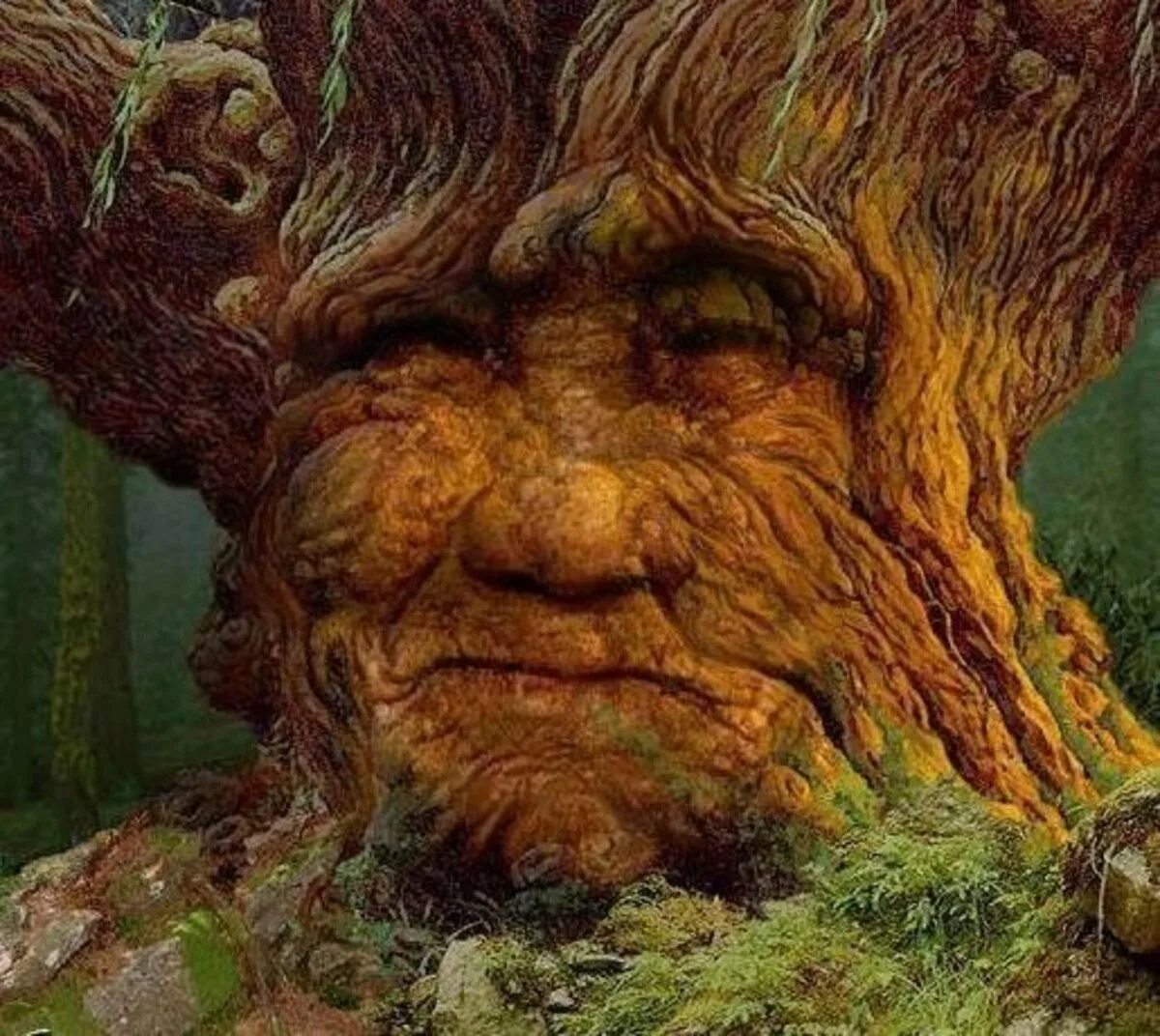 Картинки лицо дерево. Дедушка дерево. Дуб с лицом. Дерево с лицом. Мифическое дерево с лицом.