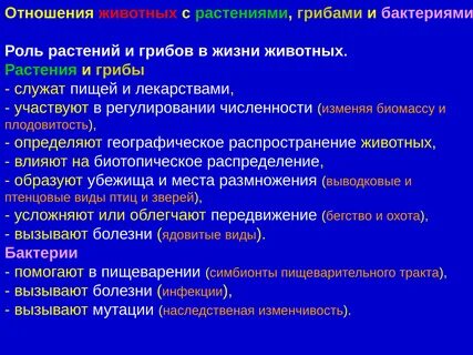 Роль бактерий в грибах
