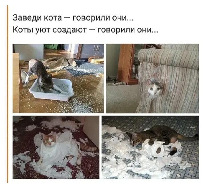 Приезжай на дачу мем. Отдыхайте говорили они. Приезжай на дачу говорили они. Походы смешное. Рванем на природу.