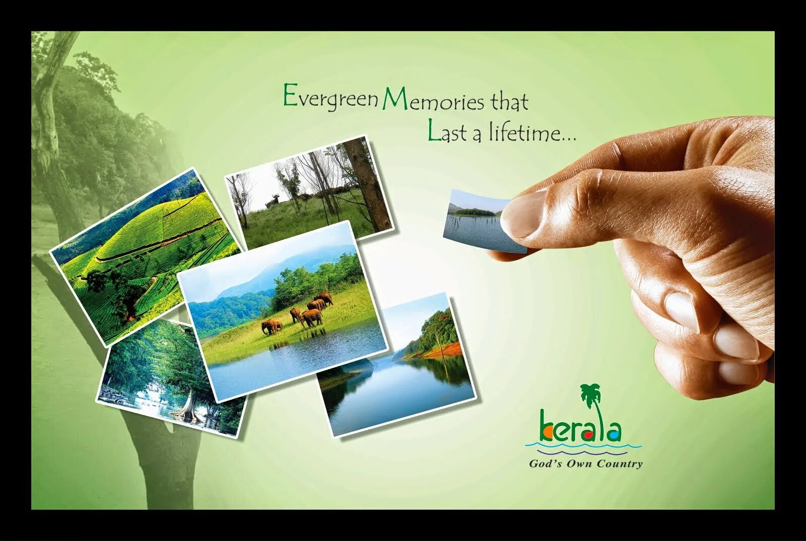 Реклама туризма Kerala. Tourism poster. Last a Lifetime. Medial Tourism.