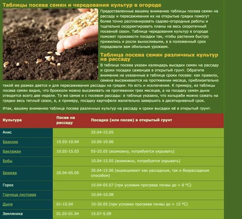 Глубина заделки семян томатов. Сроки посадки овощных культур в открытый грунт. Таблица посева, пересадки в грунт рассадой. Сроки посадки семян. Сроки посева семян на рассаду.