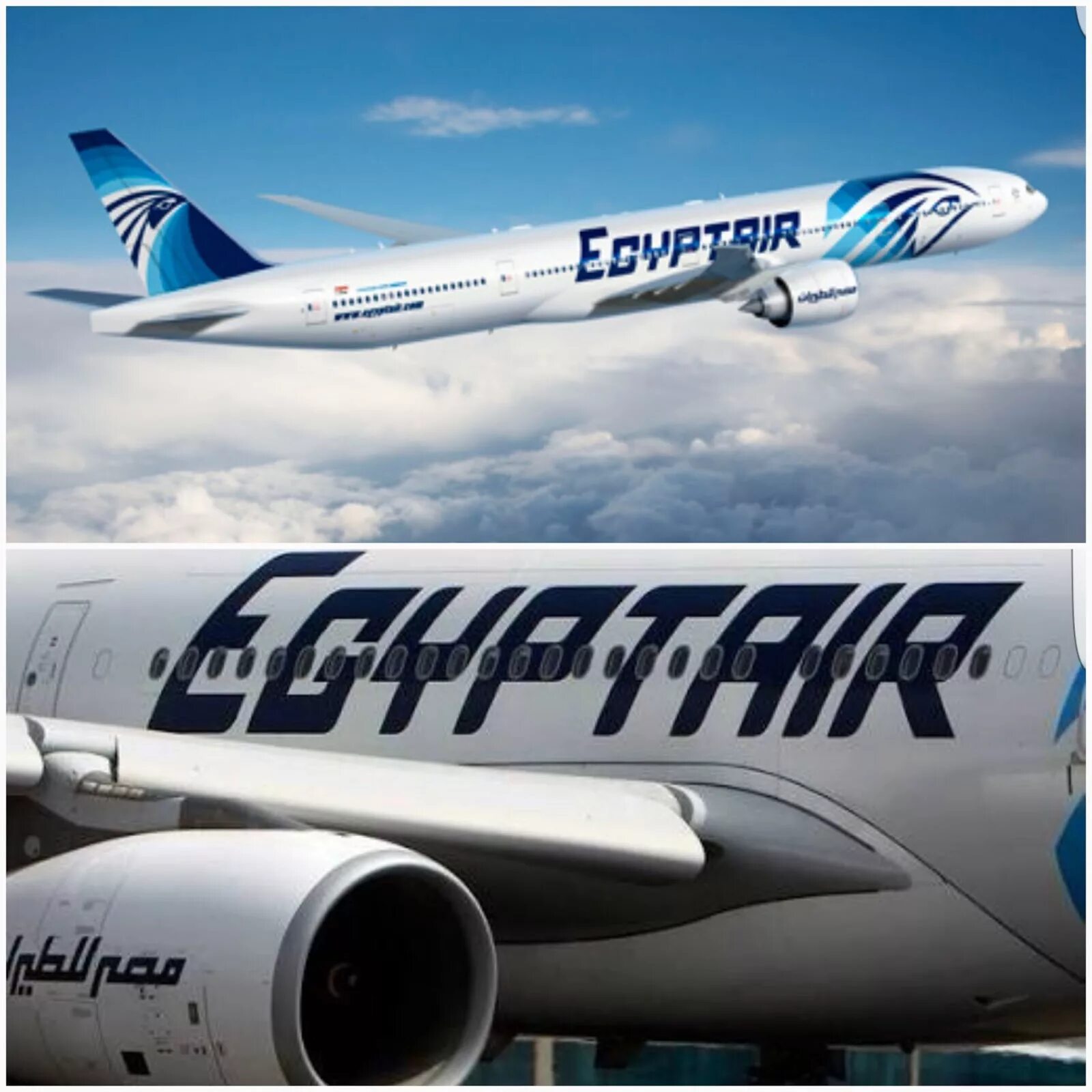 Egypt Air ms804. Egypt Air Sarah пилот. MS 728 Egypt Air. MS 3091 Egypt Air самолет. Egyptair купить билет