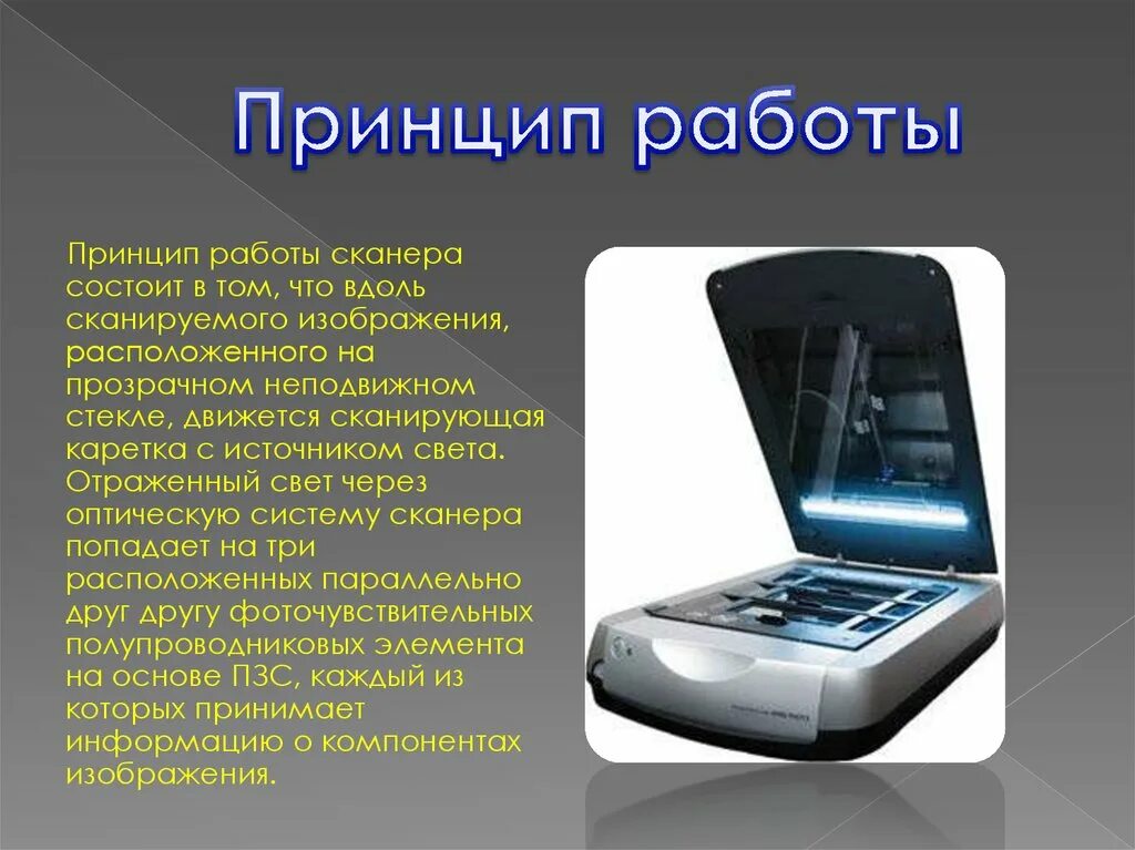 Включается сканер. Принцип работы сканера. Сканер принцип. Принцип работы станерв. Устройство сканера принцип работы.