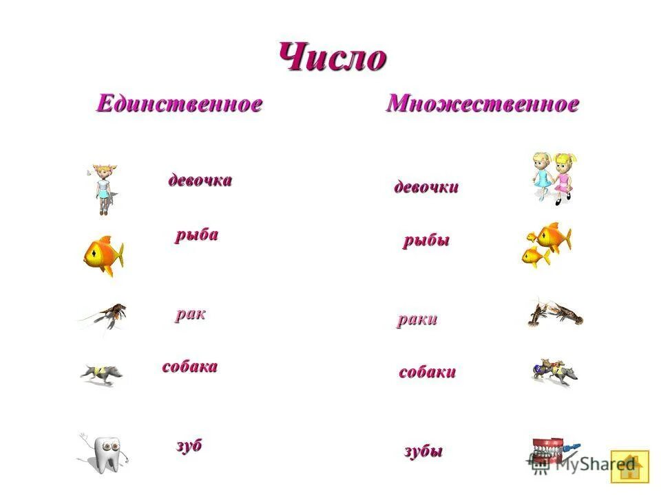 Существительное из 5 букв в единственном числе. Как будут слово ставни в единственном числе