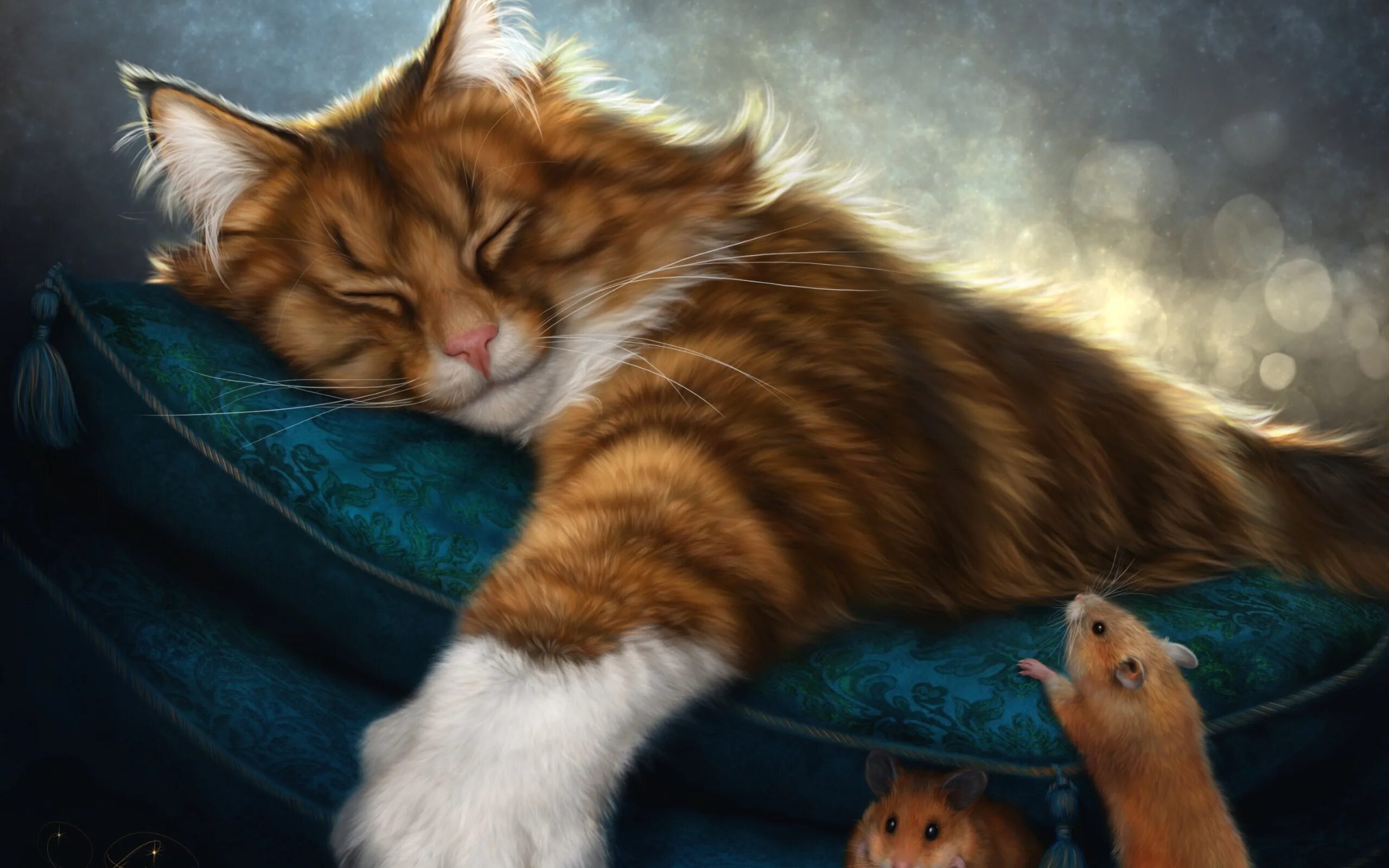 Кот рыжий ночь. Кот рыжий ночь