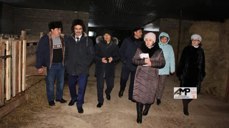 Актаныш деревня. Актаныш. Погода чалманарат. Погода чалманарат. Погода в чалманарате.