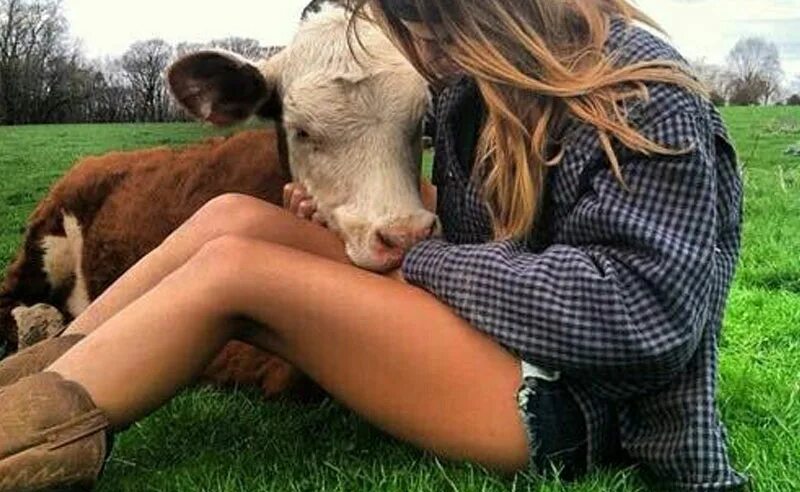 Женщина корова. Красивая девушка с коровой. Корова девушка как называется. Корова девушка как называется. Корова и человек.