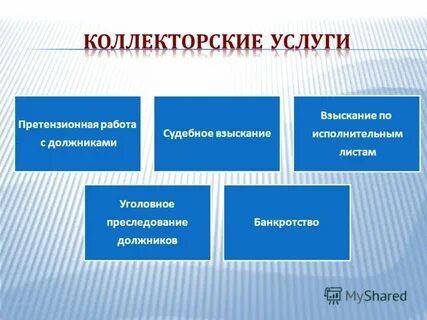Профессиональная коллекторская организация