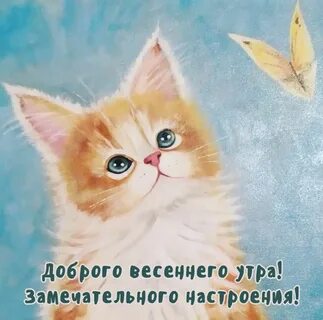 Прикольное мартовское утро