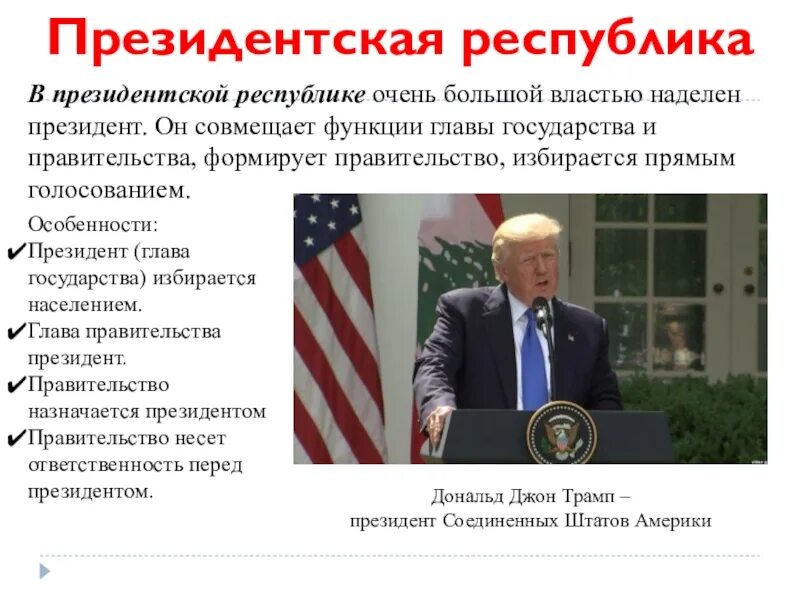 Пример функции главы государства. Функции главы государства. глава президентской республики.